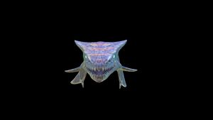 Boneshark8.jpg