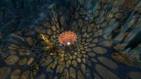 A Radiant Sieve Coral in the Thermal Spires emitting a large shadow