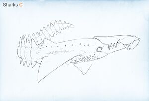 Brute shark old.jpg