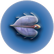 Cooked Airsack.png