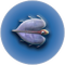 Cooked Airsack.png