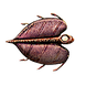 Cooked Bladderfish Icon.png