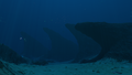 Thumbnail for version as of 17:11, 2 June 2017