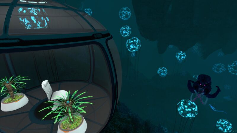File:DeepGrandReefWarper.jpg