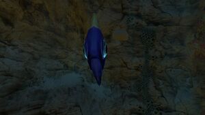 Holefish3.jpg