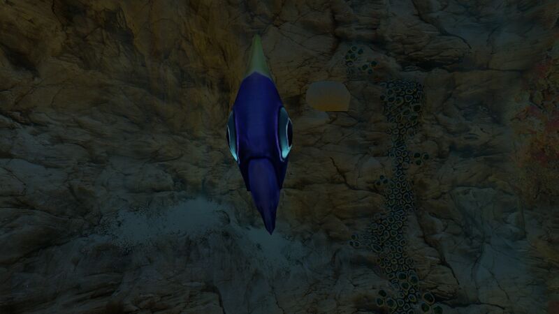 File:Holefish3.jpg