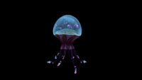 Side view of the King Jelly.