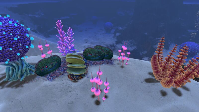 File:Koosh Zone (5).jpg