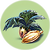 Marblemelon Seeds.png