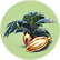 Marblemelon Seeds.png