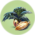 Marblemelon Seeds.png