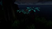 Bioluminescence