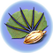 Pygmy Fan Seed.png