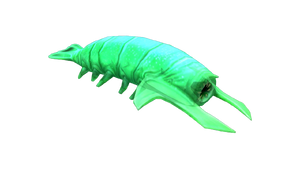 Rockgrub Fauna (BZ).png
