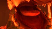 Closeup of the mouth