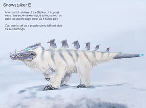 Snowstalker E.jpeg