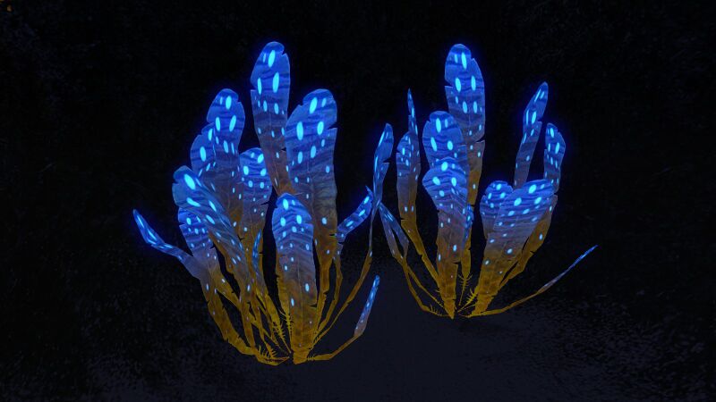 File:SpottedLeavesPlant01.jpg