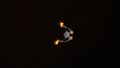 Bioluminescence