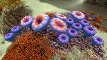 AcidMushroom.jpg