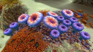 AcidMushroom.jpg