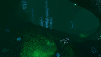 The transitional area from the Lost River to the Blood Kelp Trench