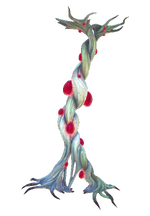 Bloodroot Flora.png