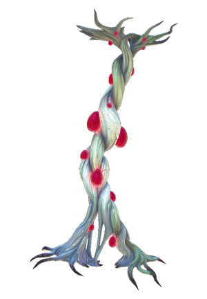 Bloodroot Flora.png