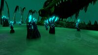 A group of Crab Claw Kelp growing near the Gargantuan Fossil