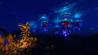 An opening into the narrow part of the biome
