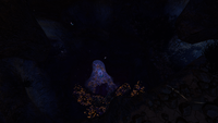 One of the largest rooms in the Grand Reef Caves