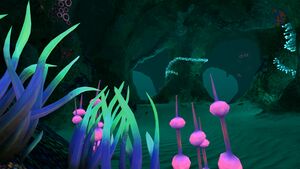 Mushroom Forest Caves (8).jpg