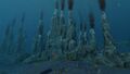 Thumbnail for version as of 00:32, 7 August 2021