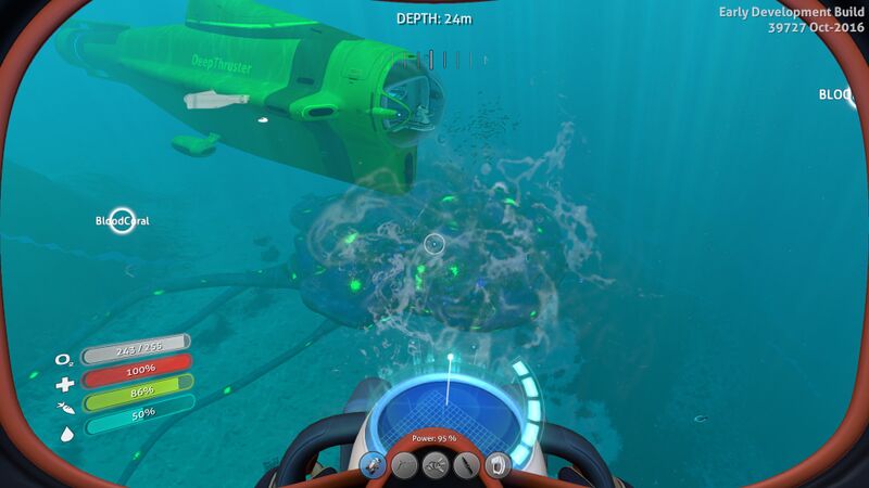 File:Reefbackcarar.jpg