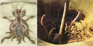 Sarlacc-pit.jpg