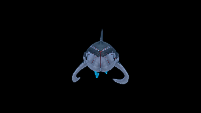 File:Squidshark Front View.png