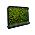 Wall Planter Icon.png