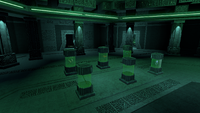 The first set of relics