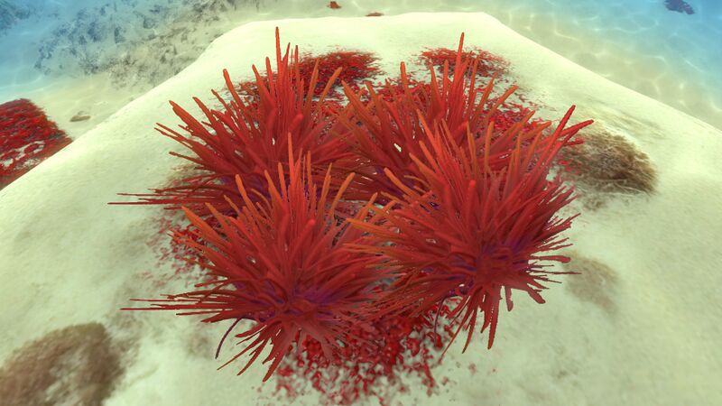 File:Blood grass - grassy plateaus.jpg