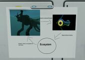 Ecosystem