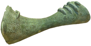 GiantCoralTubesTrue.png