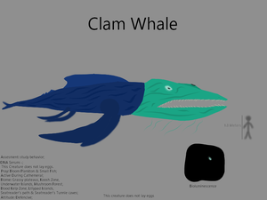 ClamWhaleConcept.png