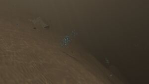 Crash Zone-7.jpg