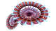 Red Cone Plant Flora.png