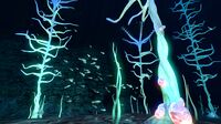 Overview of the 1st Blood Kelp Zone