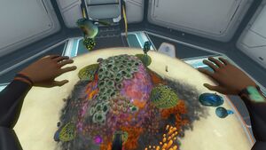 BabyGasopod.jpeg