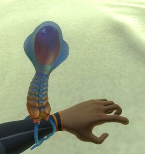 Bleeder on arm.jpg