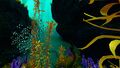 Thumbnail for version as of 17:22, 6 August 2021