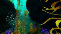 An entrance to the Arctic Kelp Caves