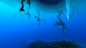 Day Overview Sparse Arctic.jpg