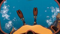 The fins while on the player's feet.